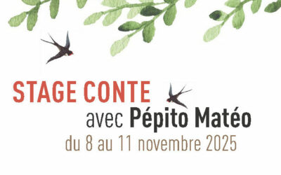 Stage conte 2025