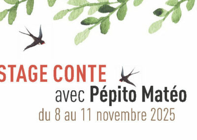 Stage conte 2025